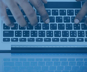 Online fraudster