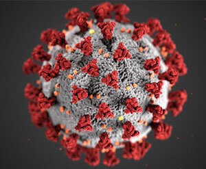 Corona virus - what to expect after lockdown